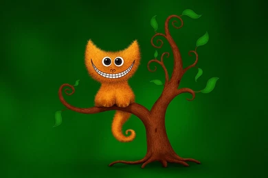 1920x1080 Smiling Cat Desktop PC And Mac Wallpapers