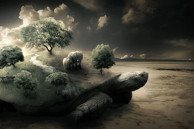 1920 X 1080 Size   Photo Gallery