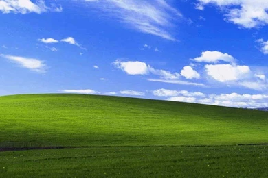 Microsoft Free Backgrounds   Wallpapers Cave