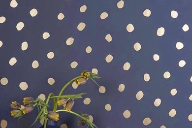 The Shabby Nest: Wonderful Wallpaper~