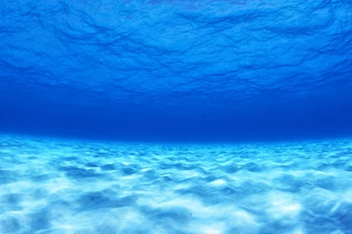 Mac OS X Wallpapers: Underwater Wallpapers Hd