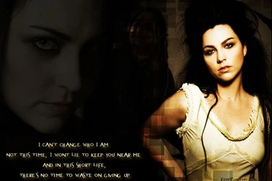 D12 Eminem Eminem Wood – Entertainment Music HD Desktop Wallpapers