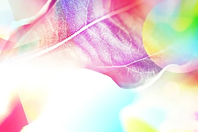 Rainbow_colours_of_sunshine_021 1440x900 Wallpapers 42张   Wallcoo.net