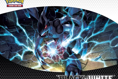 Zekrom   Legendary Pokemon Wallpapers (33957675)   Fanpop