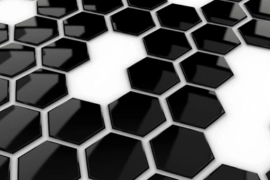 Black White HD Wallpaper.jpg