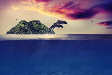 Fantasy Art Islands Life Fantasy Island Sea Wallpapers