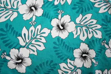 Verna And Bob's Weblog » 2008 » July