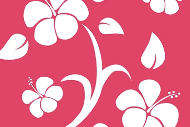 Hawaiian Background Images   Wallpapers Cave