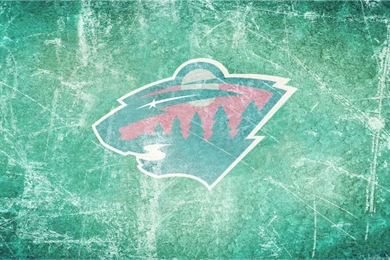 Wild Hockey Bing Images