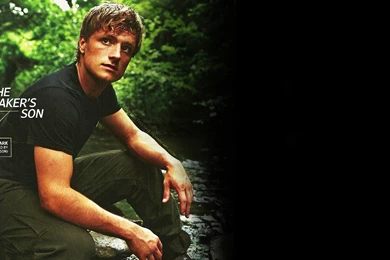 Free Download "The Hunger Games" WallPapers, Posters, And ...