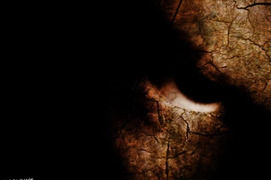 Fade_to_black 595648.jpeg