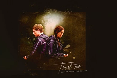 Hunger Games Wallpapers By JessMindless On DeviantArt