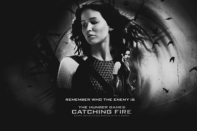 The Hunger Games: Catching Fire Wallpapers By Seia5018 On DeviantArt