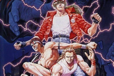 Fatal Fury Box Shot For Genesis   GameFAQs