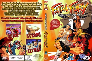 Fatal Fury DVD Cover By Hellstinger64 On DeviantArt