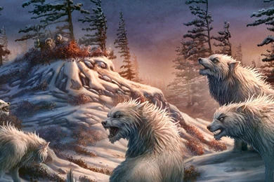 20 Killer HD Wallpapers