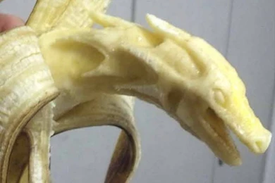 Amazing Friuts Crafted Animals   Animals   Amazing Photo Gallery ...