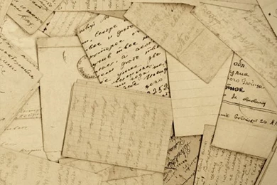 Wallpapers – Design Freedom At Rebel Walls