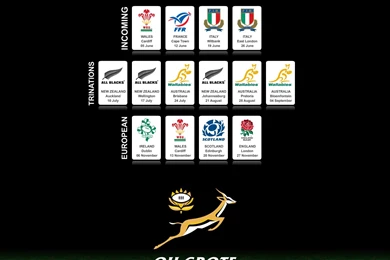 Springbok 2010 Fixtures Wallpapers