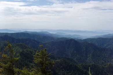 Great Smoky Mountain National Park   Travellerguidance.com