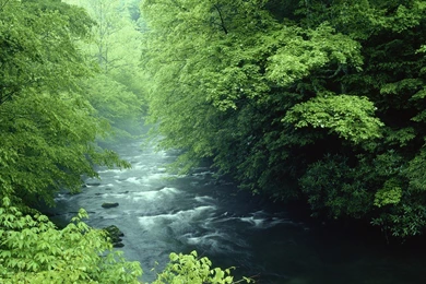 Tennessee Rivers National Park Great Smoky Mountains Wallpapers ...
