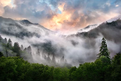 Smoky Mountain National Park Photos