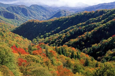 Great Smoky Mountains Wallpapers   173318