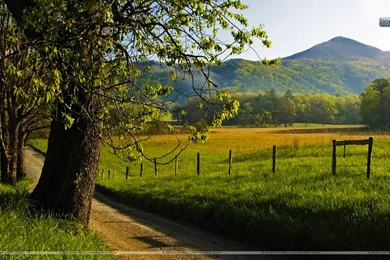 Hyatt Lane In Spring, Great Smoky Mountains, Tennessee Wallpapers