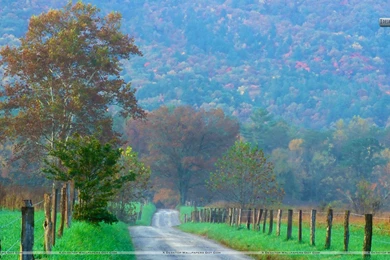 Cades Cove Great Smoky Mountains National Park Tennessee Wallpapers