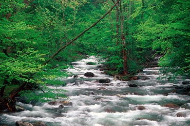 LittlePigeonRiverGreatSmokyMountainsTennessee.jpg