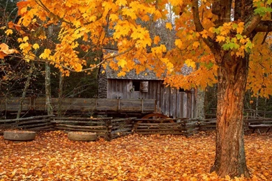 Autumn Of Great Smoky Mountain 1440x900 Wallpapers,Great Smoky ...
