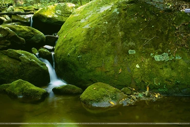 Mossy Boulder, Roaring Fork, Great Smoky Mountains National Park ...