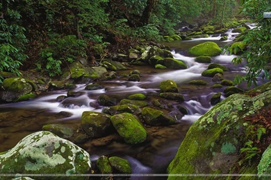 Mountain Stream, Great Smoky Mountains National Park, Tennessee ...