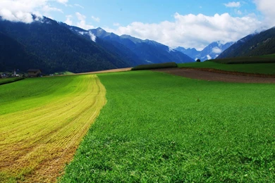 1980X1080 Wallpapers 140010