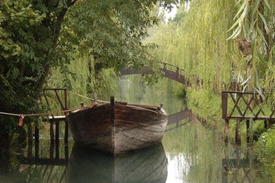 Free Desktop Wallpapers And Screensavers   HD Wallpapers Lovely