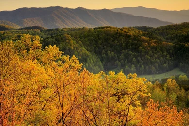 Great Smoky Mountains Widescreen Wallpapers