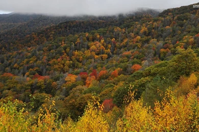 Great Smoky Mountains National Park Wallpapers   Nature Wallpapers ...