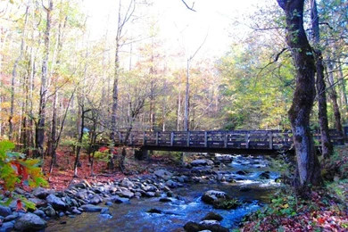 Great Smoky Mountains (id: 61074) – BUZZERG