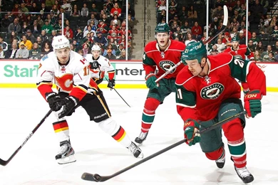 Wild Hockey   Bing Images