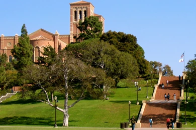 File:Janss Steps, Royce Hall In Background, UCLA.jpg   Wikimedia ...