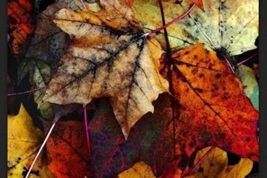 Textures On Pinterest