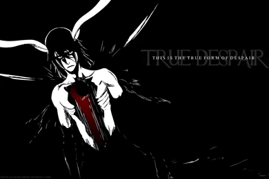 Gejegor Wallpapers: Ulquiorra Wallpapers 2010