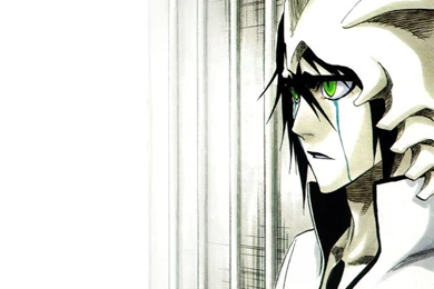 Ulquiorra Wallpapers   Wallpapers Cave