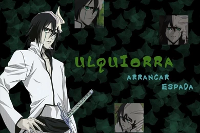 Bleach Anime Wallpapers