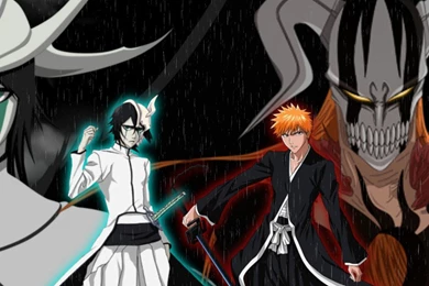 Ulquiorra And Ichigo Bleach Anime Wallpapers 17912653 Fanpop ...