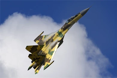 Sukhoi Su 37   Wikipedia, The Free Encyclopedia