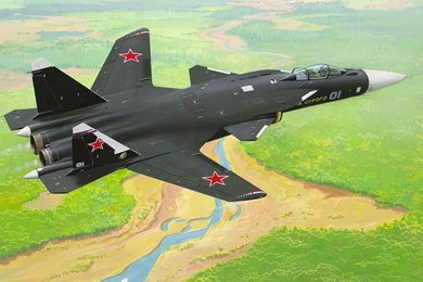 Download Wallpapers The Su 47 Berkut, C 37, Firkin, Swept Wing ...
