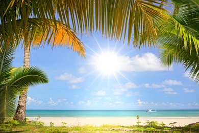 Palm Beach Wallpapers