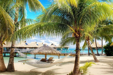 Palm Beach HD Wallpapers