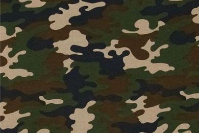 Organic Shapes On Pinterest